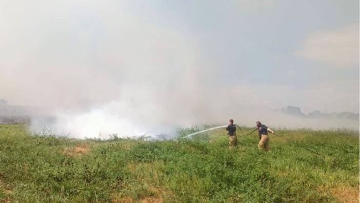 Manyas'da yangın çıktı