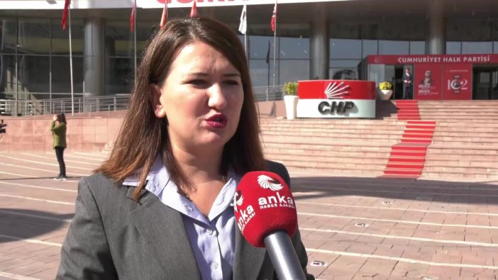 CHP kurultay davası ertelendi, Gökçe Gökçen'den önemli açıklamalar