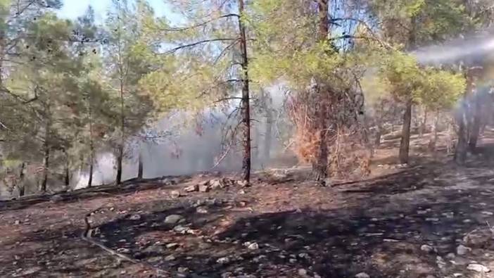 Karaköprü'de orman yangını