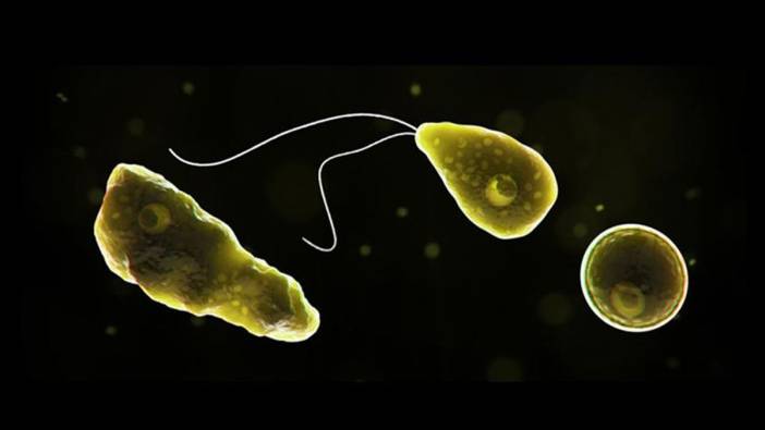 Yeni enfeksiyon 19 can aldı!