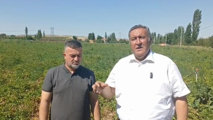 Çiftçiler beklenen geliri elde edemiyor