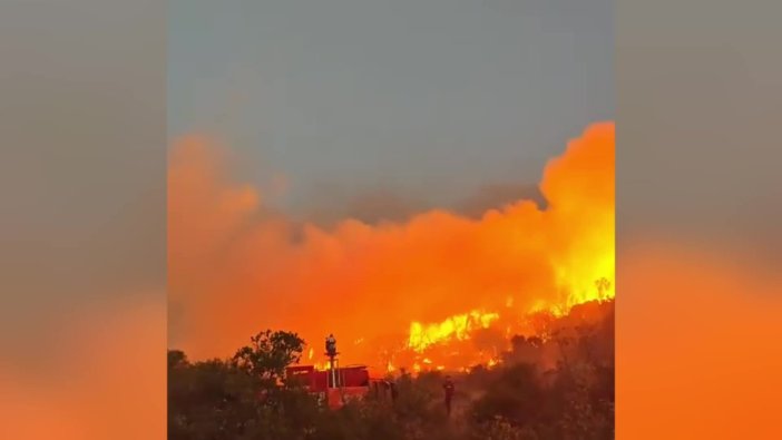 Balıkesir'de orman yangınına ortak müdahale