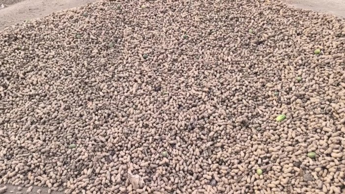 Çiftçiler sahipsiz, sesimiz duyulmuyor!