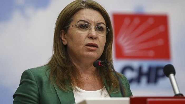 CHP Genel Başkan Yardımcısı Karaca'dan 'Çiftçilerin sulama borçları silinsin' önerisi