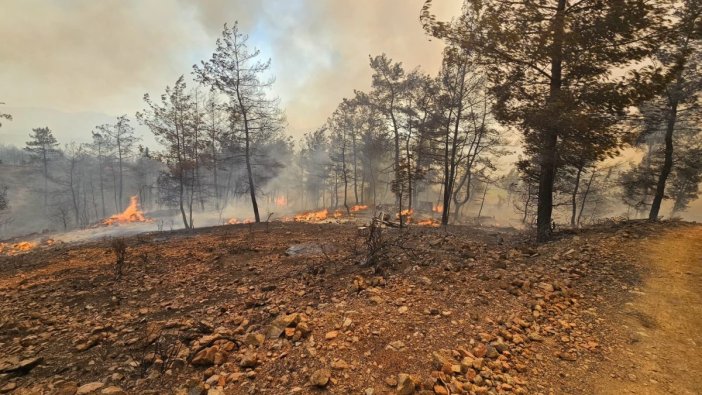 Muğla'da orman yangınlarına hızlı müdahale