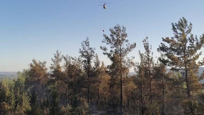 Adana'da orman yangını!