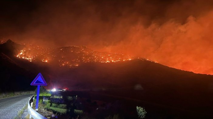 Köyceğiz'deki orman yangını sürüyor, müdahale ekipleri seferber