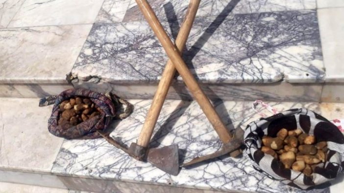 Elazığ'da kaçak salep soğanı toplayan 2 kişiye 153 bin 794 lira ceza