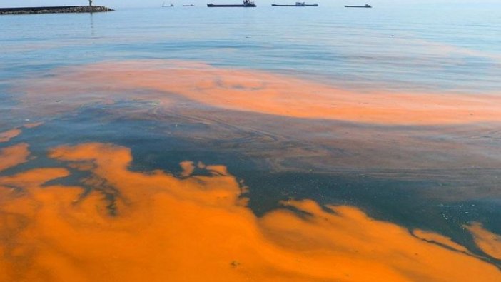 Marmara Denizi'nin rengi değişti