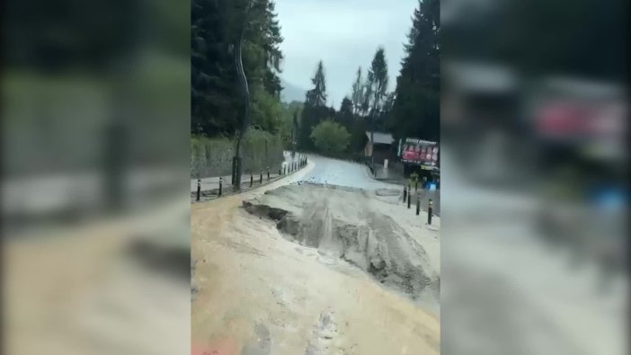 Sel ve heyelandan kaçan yavru ayılar tünelde görüntülendi