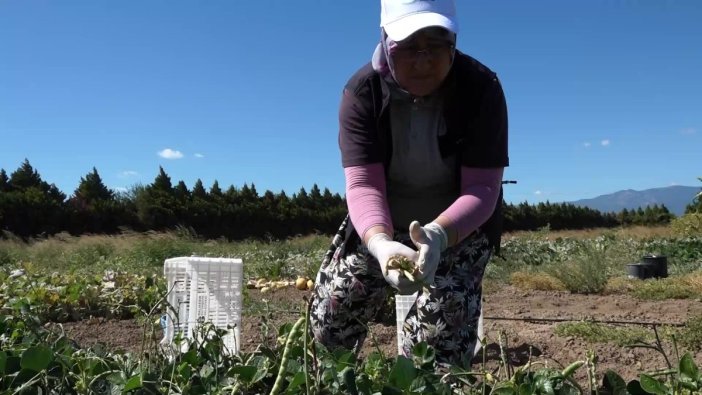 Balıkesir'den Geleceğe Tohum Mirası