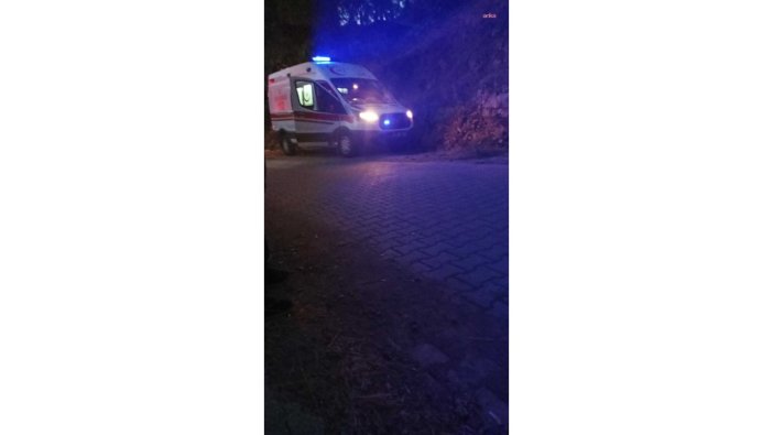 Muğla'da dehşet: Genç, annesini av tüfeğiyle öldürdü