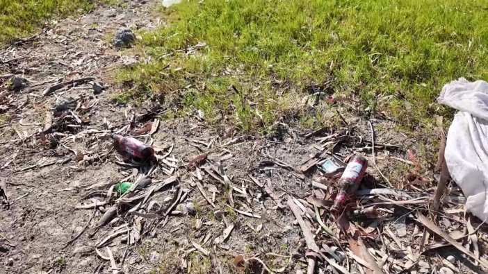 Berdan Barajı'nda atık temizliği başlatıldı