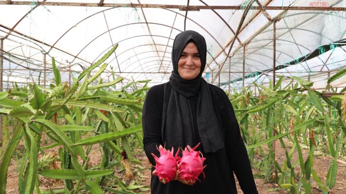 Antalya'dan üreticilere yeni destek: Alternatif ürünler öne çıkıyor