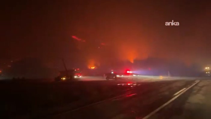 Bursa'da orman yangını kontrol altına alınıyor