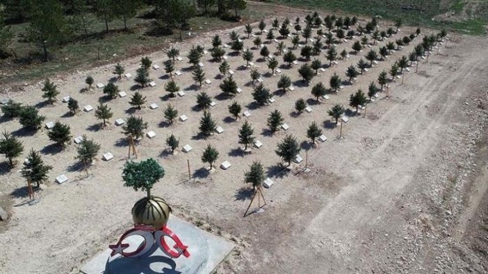 Bozkırın ortasında 'Orman Şehitleri Hatıra Ormanı' oluşturuldu