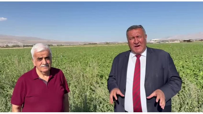 CHP'li Gürer: Şekerpancar alım kampanyası başladı ama fiyat yok