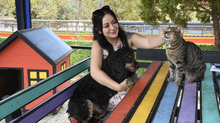 Kuşadası'nda 195 can dost sıcak yuvalarına kavuştu