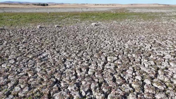 Yozgat'ta baraj suları çekildi, otlaklar ortaya çıktı