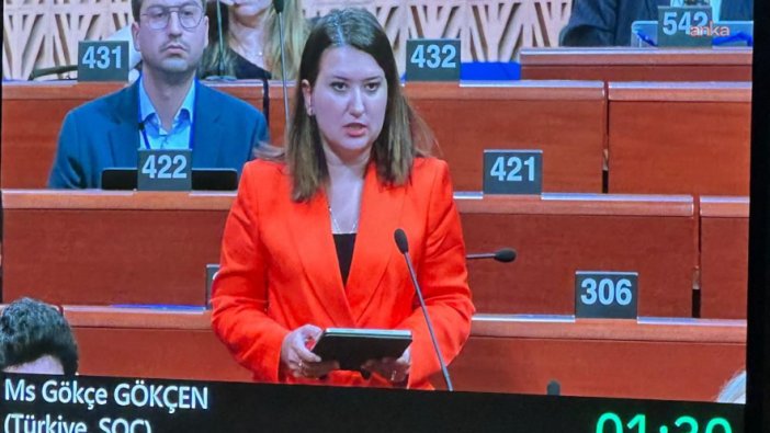 Gökçen, Avrupa Konseyi'nde iktidarı eleştirdi