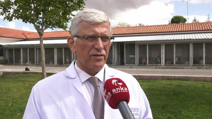 Hayvan sağlığı ve insan sağlığı iç içe, vahşi yaşamı koruma zamanı