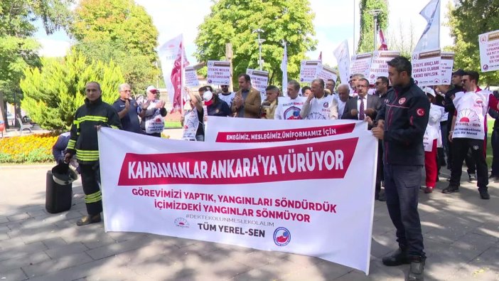 Ormanlar kapitalist talanın hedefi oldu