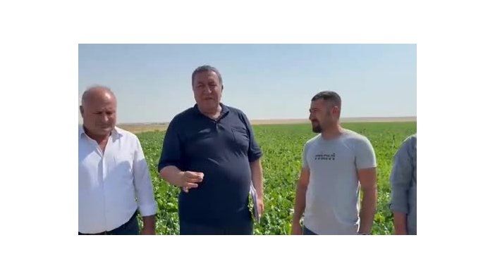 Ömer Fethi Gürer: Şeker pancarında ithalat tehlikesi kapıda