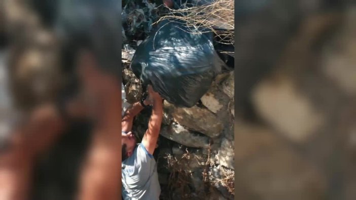 Bodrum'da derelerde temizlik seferberliği başladı