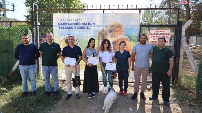 4 Ekim'de umut ışığı: Satın alma, sahiplen