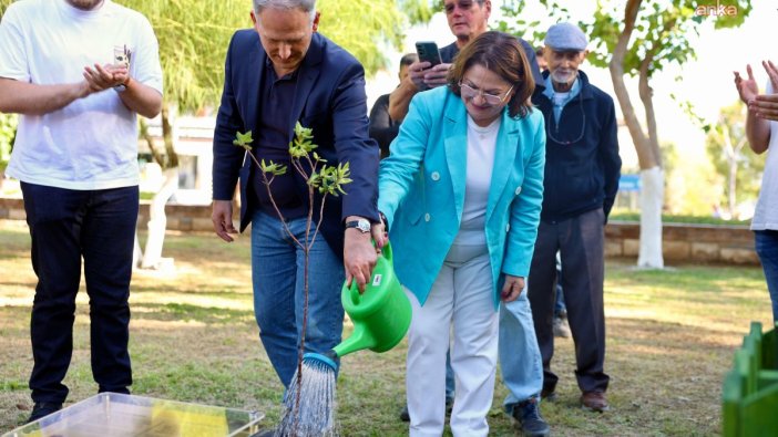 Dostluk simgeleri olarak meşe ağaçları dikildi