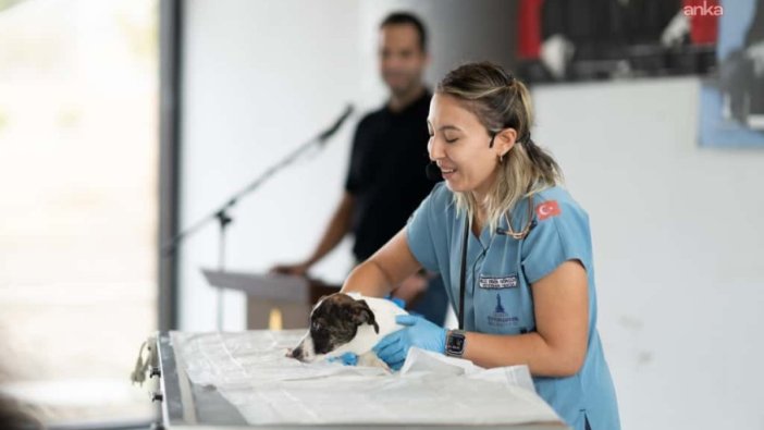Öğrenciler, İzmir'de sokak hayvanlarıyla buluştu