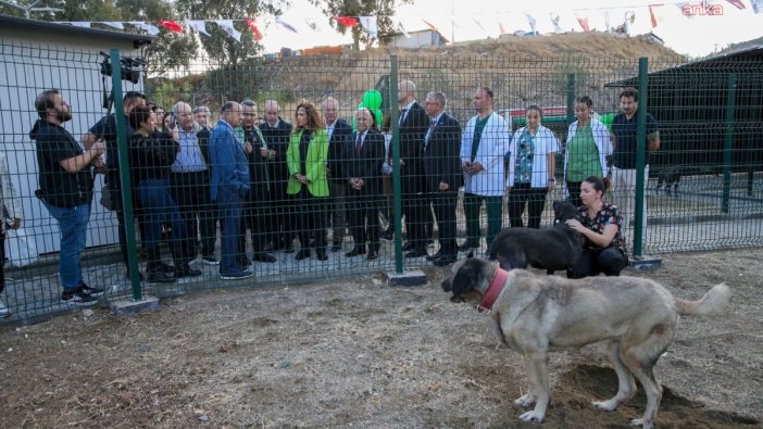 Karşıyaka'da sokak hayvanları için yaşam merkezi açıldı