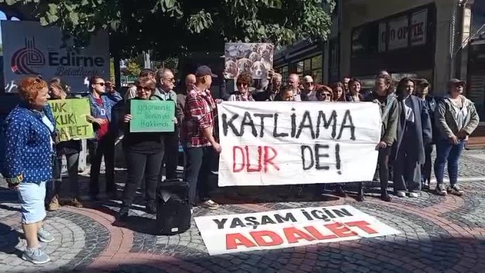 Edirne'de hayvan hakları savunucuları sokaklarda