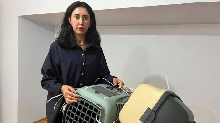 Kayıp kedi krize sebep oldu! Türk diplomat ve eşi suç duyurusunda bulundu