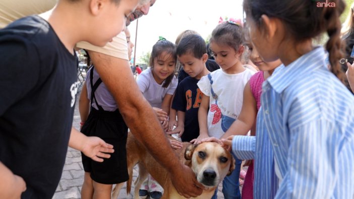 Çukurova'da hayvan dostları için özel etkinlik