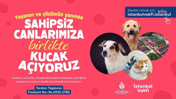 İstanbul Vakfı, sahipsiz hayvanlar için destek çağrısında bulundu