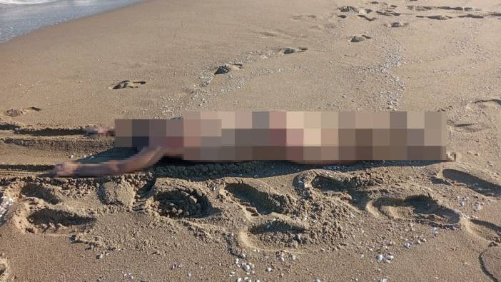 Sakarya'da akılalmaz ölüm! cesedi sahilde bulundu