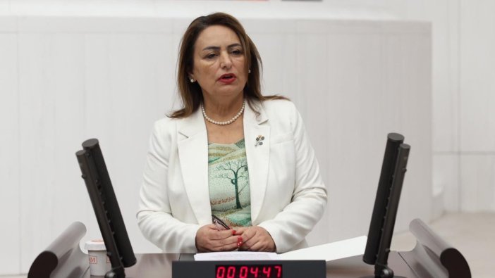 CHP'li Şevkin: İşsizlik ve Borçlar Vatandaşın Sırtında