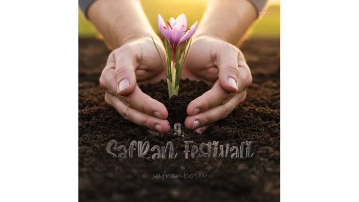 Safranbolu'da safran coşkusu: 9'uncu festival 17-19 Ekim'de başlıyor