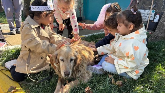 Minikler can dostlarla buluştu