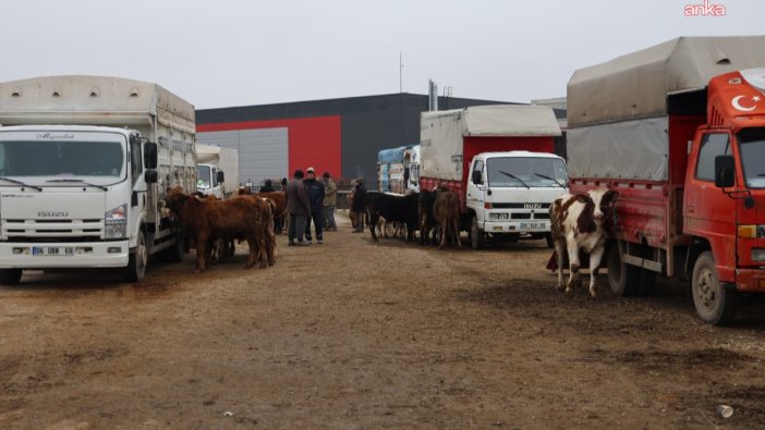 Kırıkkale Hayvan Pazarı, şap tehdidiyle kapatıldı