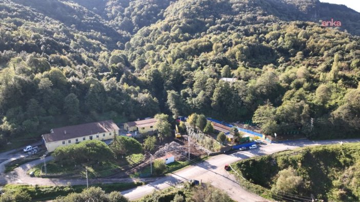 Ereğli Belediyesi'nden sokak hayvanlarına destek projesi