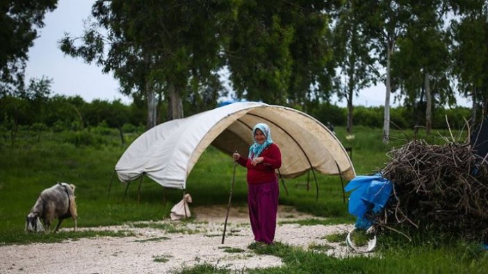 Çukurova'daki 'sarı sıcak' tarım işçilerini zorluyor