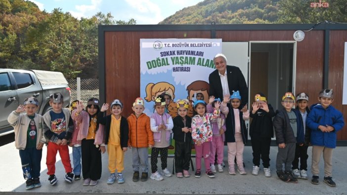 Bozüyük'te sokak hayvanlarına yeni yuva