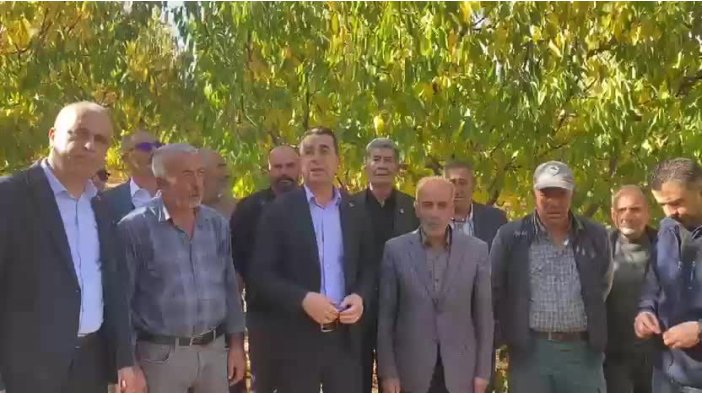 Kiraz üreticileri zor günler geçiriyor, acil eylem planı şart!