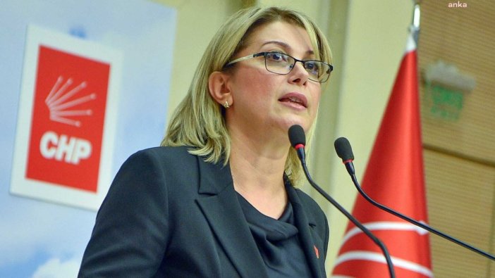 CHP'li Kaya, Sağlık Bakanı'na bebek ölümleri hakkında sorular yöneltti