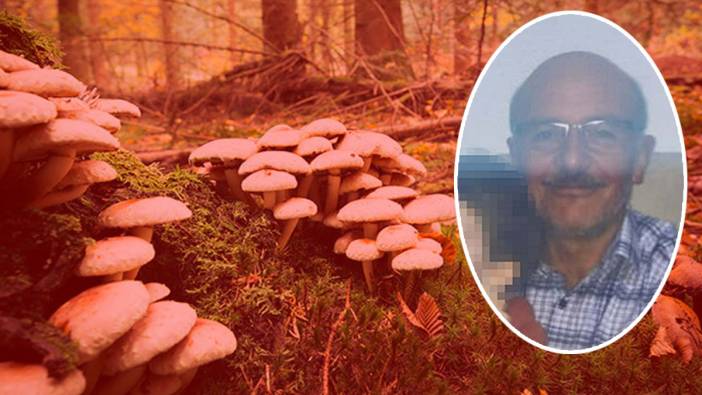 Ormandan topladıkları zehirli mantar canından etti!