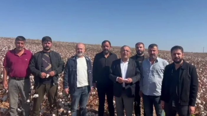 Pamuk üretimi tehlikede: 'Destek verilmezse sıfıra düşer'