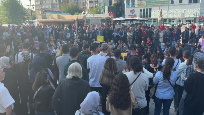 Diyarbakır'da Rojin Kabaiş'in talebi için adalet aranıyor