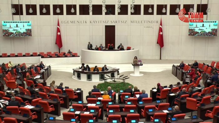 TBMM'de Rojin Kabaiş'in ölümü için öneri reddedildi